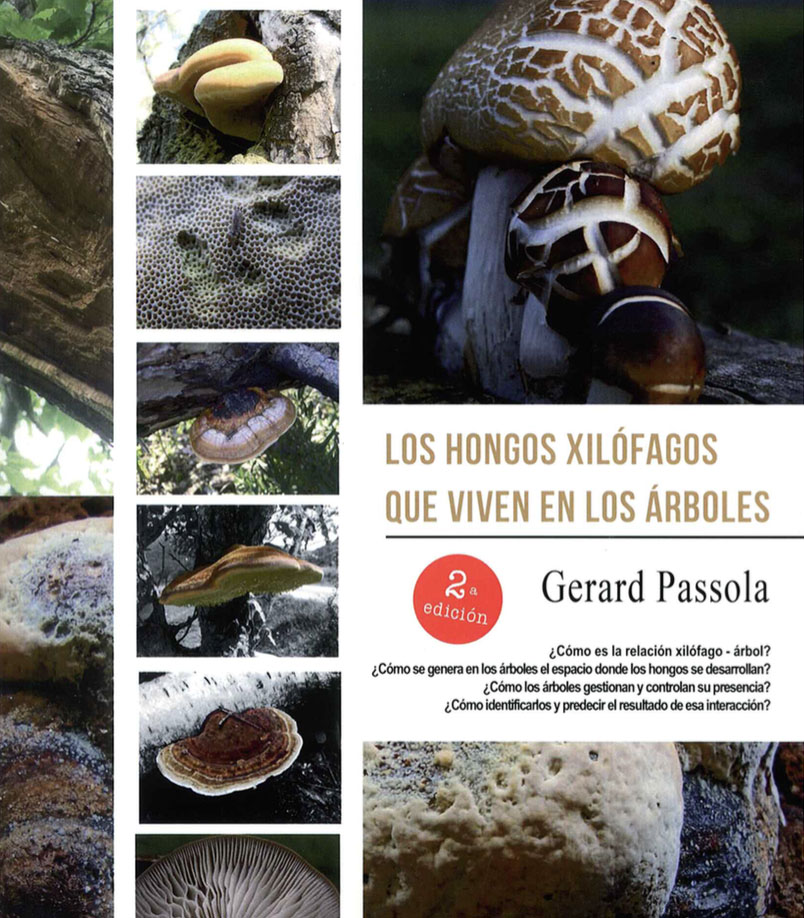 Hongos Xilófagos que viven en los árboles. Segunda Edición - Asociación  Española de Arboricultura