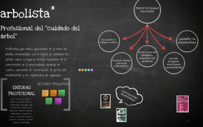 Píldoras inFORMATIVAS: La profesión del Arbolista