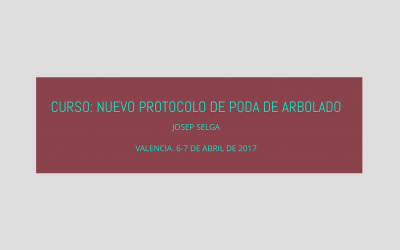 Curso: Nuevo Protocolo de Poda de Arbolado. Valencia 6-7 Abril 2017