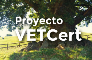 Proyecto Veteran Trees AEA