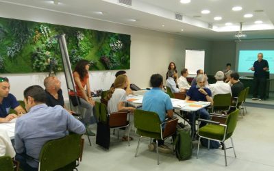 Reunión de expertos para la evaluación de riesgo del arbolado urbano