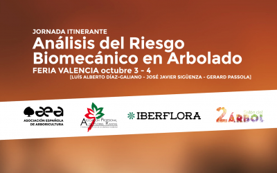JORNADA ITINERANTE: Análisis de Riesgo Biomecánico en Arbolado – Valencia 3-4 de octubre