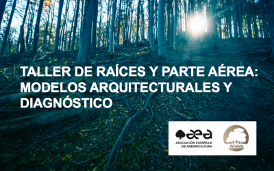 TALLER: LA RAÍZ Y EL ÁRBOL: FORMAS Y FUNCIONES. BIOLOGÍA Y BIOMECÁNICA, DEL ANÁLISIS A LA MODELIZACIÓN.(EDICIÓN 2018)