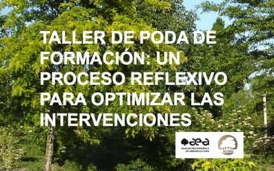 TALLER DE PODA DE FORMACIÓN: UN PROCESO REFLEXIVO PARA OPTIMIZAR LAS INTERVENCIONES