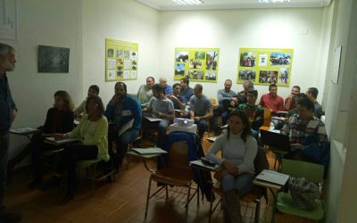 Hoy: Nuevo protocolo de poda de arbolado, 2ª Edición (Josep Selga, Valencia)