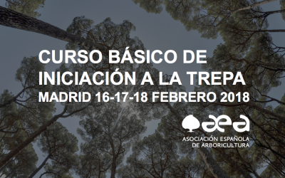 AGOTADAS LAS 12 PRIMERAS PLAZAS DEL CURSO BÁSICO DE TREPA DE MADRID: NUEVAS PLAZAS ABIERTAS