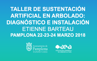 TALLER DE SUSTENTACIÓN ARTIFICIAL EN ARBOLADO: DIAGNÓSTICO E INSTALACIÓN. PAMPLONA 22-23-24 MARZO 2018