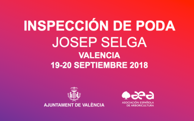 CURSO INSPECCIÓN DE PODA – VALENCIA 19-20 SEPTIEMBRE 2018
