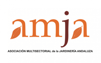 AMJA: Formación reconocida por la AEA