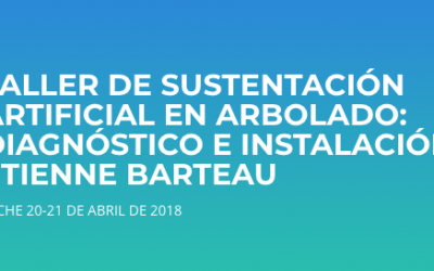 TALLER DE SUSTENTACIÓN ARTIFICIAL EN ARBOLADO: DIAGNÓSTICO E INSTALACIÓN. ELCHE 20-21 DE ABRIL DE 2018