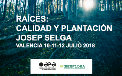 CURSO RAÍCES, CALIDAD Y PLANTACIÓN. JOSEP SELGA. VALENCIA 10-11-12 JULIO 2018