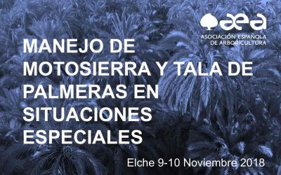 CURSO: MANEJO DE MOTOSIERRA Y TALA DE PALMERAS EN SITUACIONES ESPECIALES. Elche 9-10 Noviembre