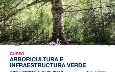 CURSO DE OTOÑO SOBRE ARBORICULTURA E INFRAESTRUCTURA VERDE ORGANIZADO POR LA UNIVERSIDAD DE MÁLAGA