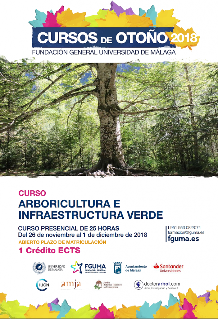 Curso de otoño Arboricultura e Infraestructura verde