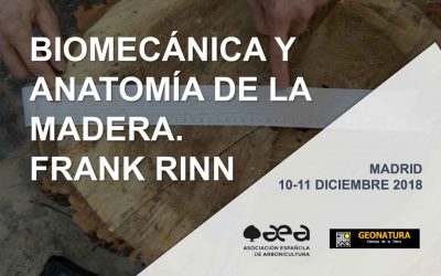 CURSO: BIOMECÁNICA Y ANATOMíA DE LA MADERA. FRANK RINN. MADRID 10-11 DICIEMBRE