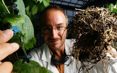 Stefano Mancuso, ponente del Congreso Nacional de Arboricultura