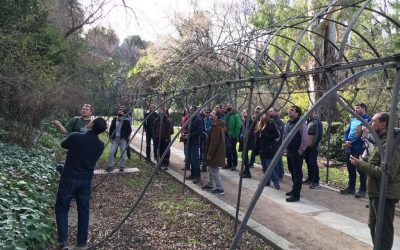 Taller de evaluación de horquillas en Arboricultura