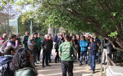 Fotos del taller de Duncan Slater y acuerdo con la Arboricultural Association (AA)