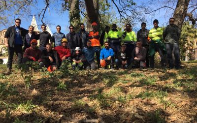 Finalizado el Curso Básico de Trepa celebrado en Cambrils