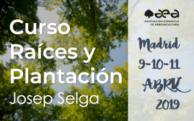CURSO RAÍCES, CALIDAD Y PLANTACIÓN. JOSEP SELGA. MADRID 9-10-11 DE ABRIL 2019