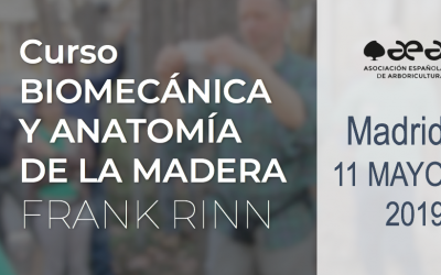 CURSO: BIOMECÁNICA Y ANATOMÍA DE LA MADERA. FRANK RINN. MADRID 11 DE MAYO