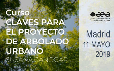 CURSO: CLAVES PARA EL PROYECTO DE ARBOLADO URBANO. SUSANA CANOGAR. MADRID 11 MAYO 2019
