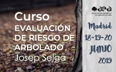 CURSO: EVALUACIÓN DE RIESGO DE ARBOLADO. JOSEP SELGA, MADRID, 18-19-20 DE JUNIO