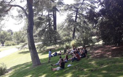 Curso de Gestión de Arbolado Urbano