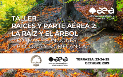 TALLER RAÍCES Y PARTE AÉREA 2: LA RAÍZ Y EL ÁRBOL · FORMAS Y FUNCIONES · BIOLOGÍA Y BIOMECÁNICA. TERRASSA 23-24-25 /10/2019