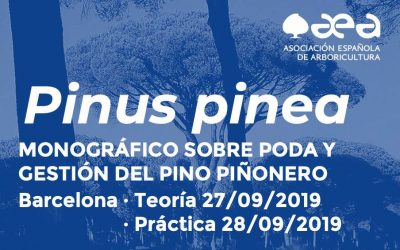 MONOGRÁFICO SOBRE PODA Y GESTIÓN DEL PINO PIÑONERO. BARCELONA 27-28/09/2019