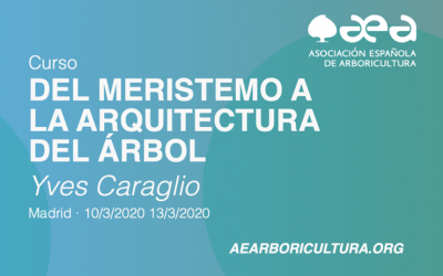 CURSO: DEL MERISTEMO A LA ARQUITECTURA DEL ÁRBOL. Yves Caraglio. MADRID 10-11-12-13 /03/2020