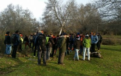 Finalizan las jornadas de Árboles Viejos y Veteranos