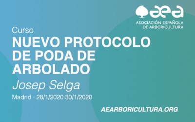 CURSO: NUEVO PROTOCOLO DE PODA DE ARBOLADO MADRID ENERO 2020
