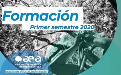Formación del primer semestre de 2020