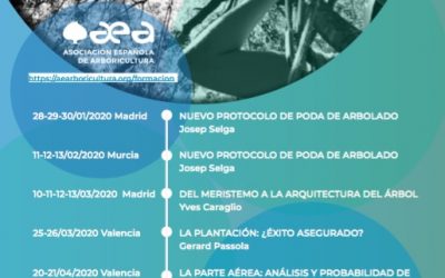 Próximos cursos de la AEA con plaza