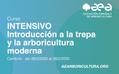 Curso de introducción a la trepa. Últimas plazas