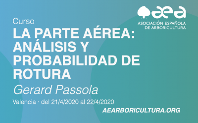 CURSO: LA PARTE AÉREA: ANÁLISIS Y PROBABILIDAD DE ROTURA · GERARD PASSOLA · VALENCIA 21-22 ABRIL 2020