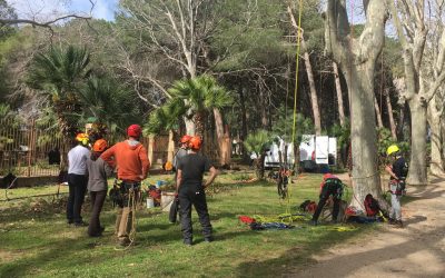 Final de curso intensivo de trepa en Parc Samà