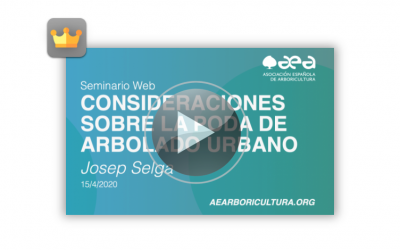 Video del seminario web CONSIDERACIONES SOBRE LA PODA DE ARBOLADO URBANO