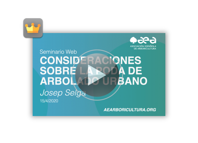 Video del seminario web CONSIDERACIONES SOBRE LA PODA DE ARBOLADO URBANO