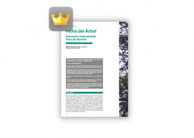 Fichas de Arbolado