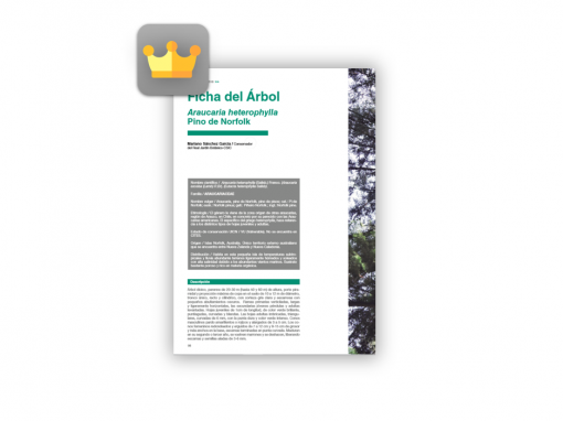 Fichas de Arbolado