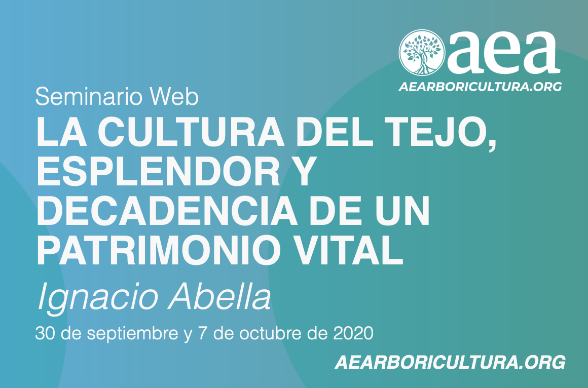 SEMINARIO WEB: LA CULTURA DEL TEJO, ESPLENDOR Y DECADENCIA DE UN PATRIMONIO  VITAL. IGNACIO ABELLA. 30/09/2020 Y 7/10/2020 - Asociación Española de  Arboricultura
