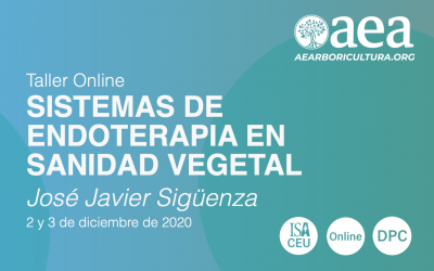 TALLER ONLINE: SISTEMAS DE ENDOTERAPIA EN SANIDAD VEGETAL. 2-3 DICIEMBRE 2020