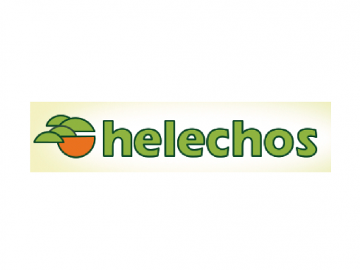 Helechos
