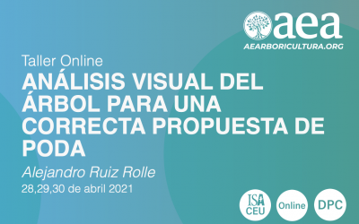 TALLER ONLINE: ANÁLISIS VISUAL DEL ÁRBOL PARA UNA CORRECTA PROPUESTA DE PODA