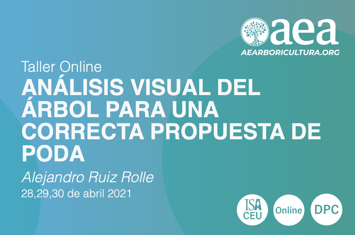 TALLER ONLINE: ANÁLISIS VISUAL DEL ÁRBOL PARA UNA CORRECTA PROPUESTA DE PODA  - Asociación Española de Arboricultura