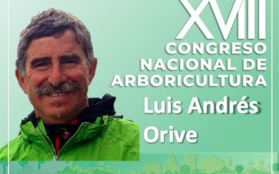 Luis Andrés Orive, ponente de la sesión presencial del XVIII Congreso Nacional