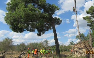 El taller de iniciación de uso de la motosierra concluyó con gran éxito