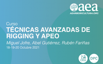 CURSO: TÉCNICAS AVANZADAS DE RIGGING Y APEO